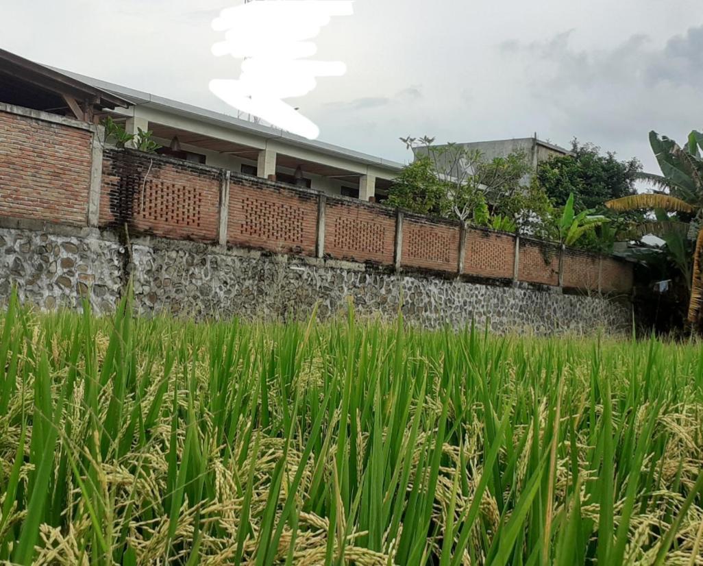 Surya Lombok Accommodation Selong Belanak Exterior foto